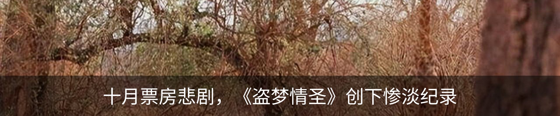 行业资讯